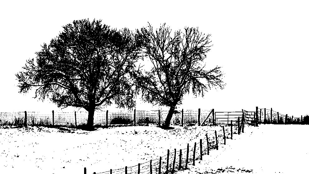vignette